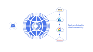 MulticloudConnect